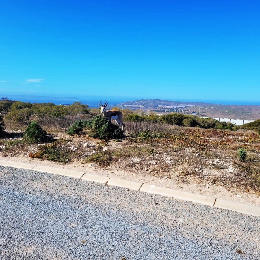 0 Bedroom Property for Sale in Hoogland Western Cape